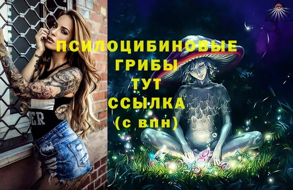мдпв Покачи