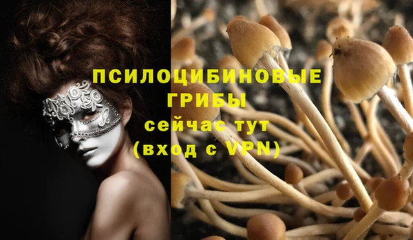 мескалин Покров
