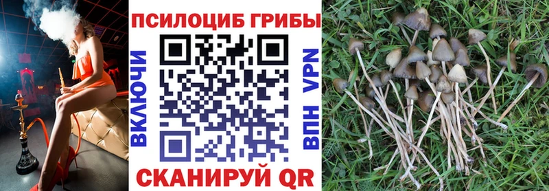 Псилоцибиновые грибы ЛСД  Курильск 